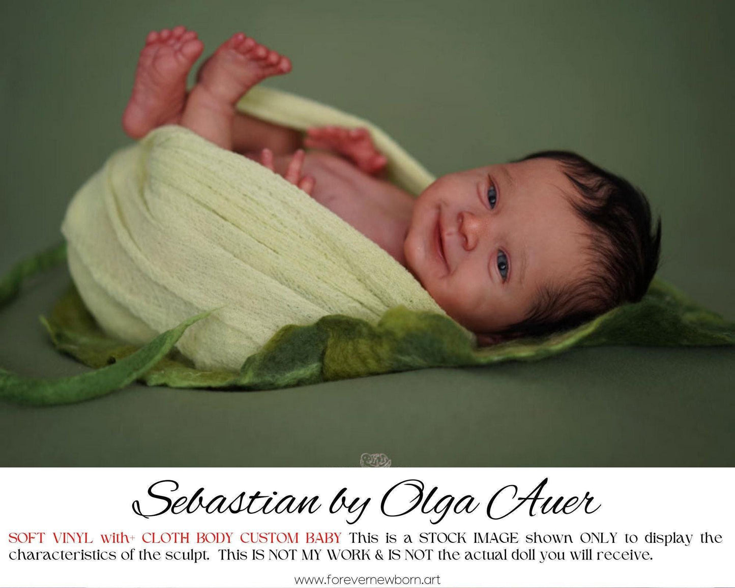ECONOMY REBORN Sebastian by Olga Auer (20"+Full Limbs)