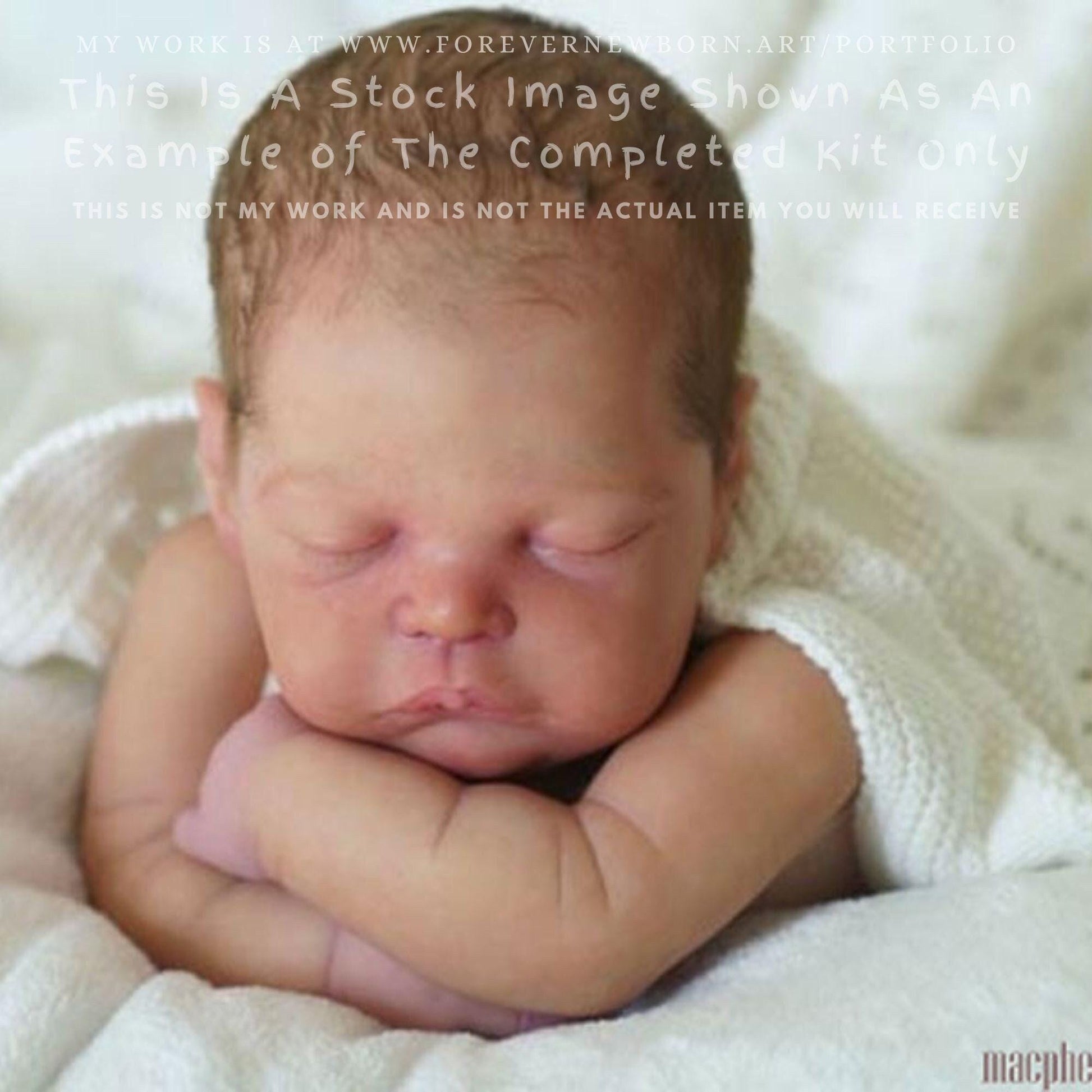 ECONOMY REBORN Cecily by Adrie Stoete (19" Full Limbs)
