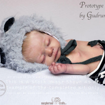 ECONOMY REBORN Kai by Gudrun Legler (19"+Full Limbs)