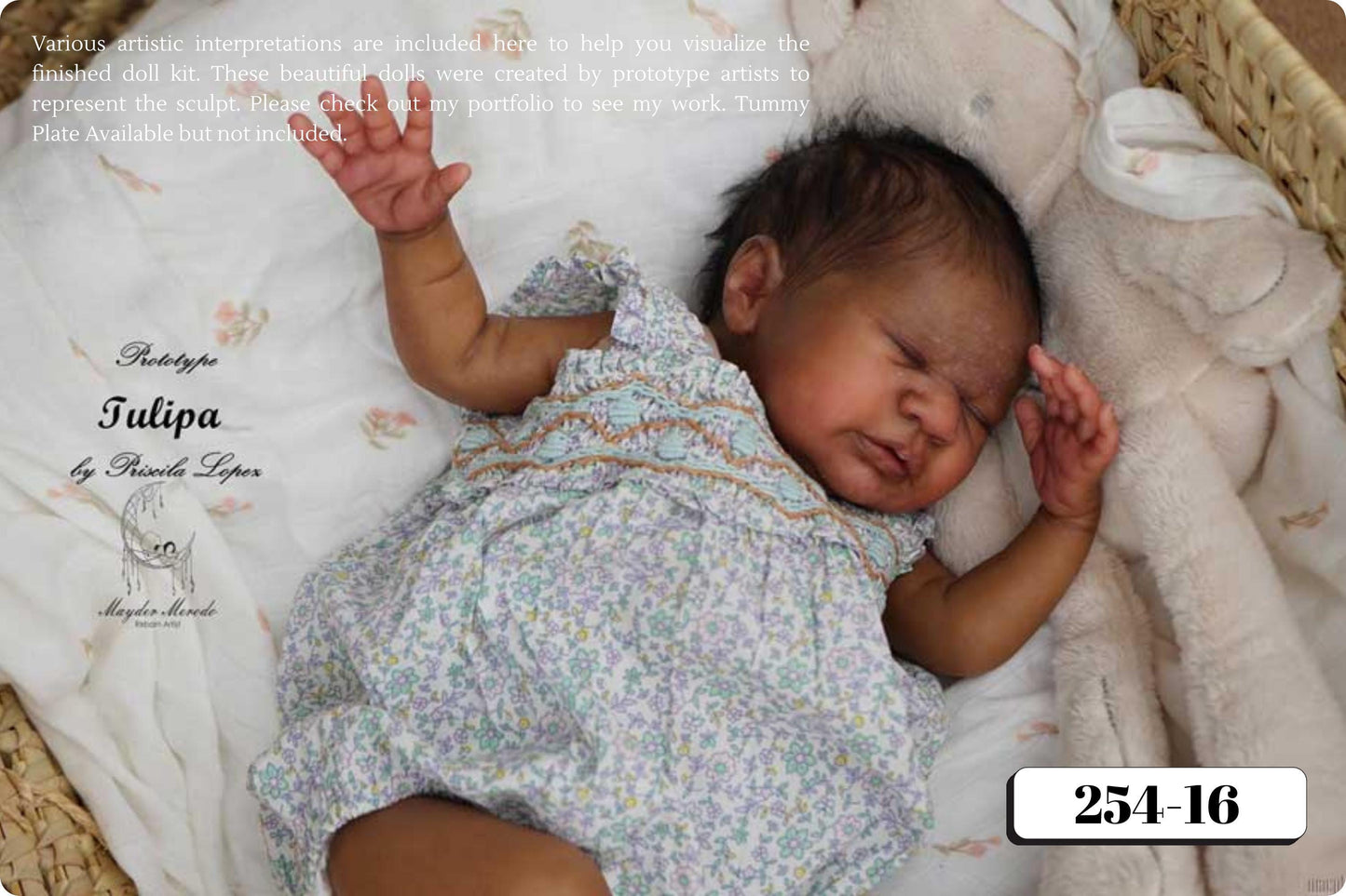 Tulipa by Priscila Lopez (17"+Full Limbs)