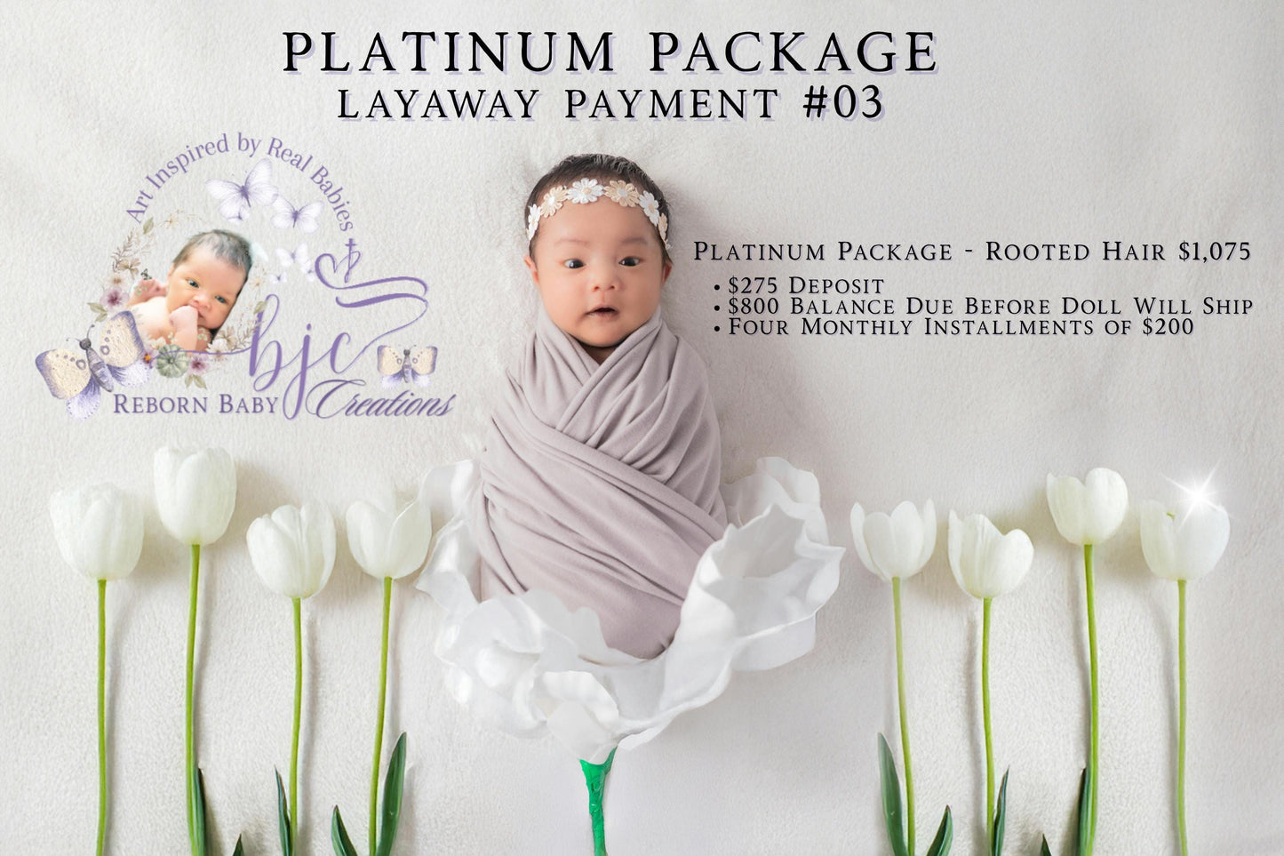 Platinum Layaway Plan - Payment #03
