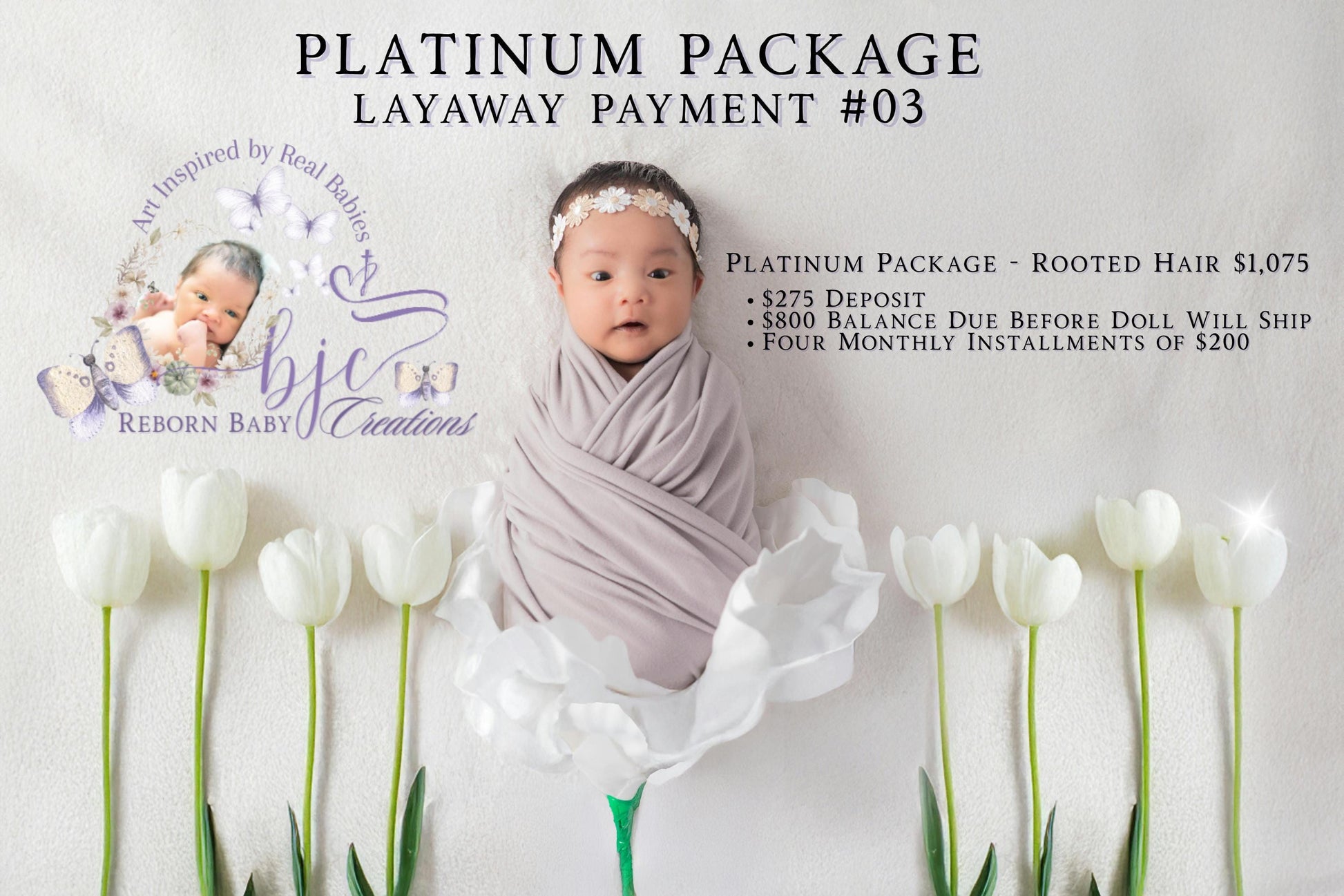 Platinum Layaway Plan - Payment #03