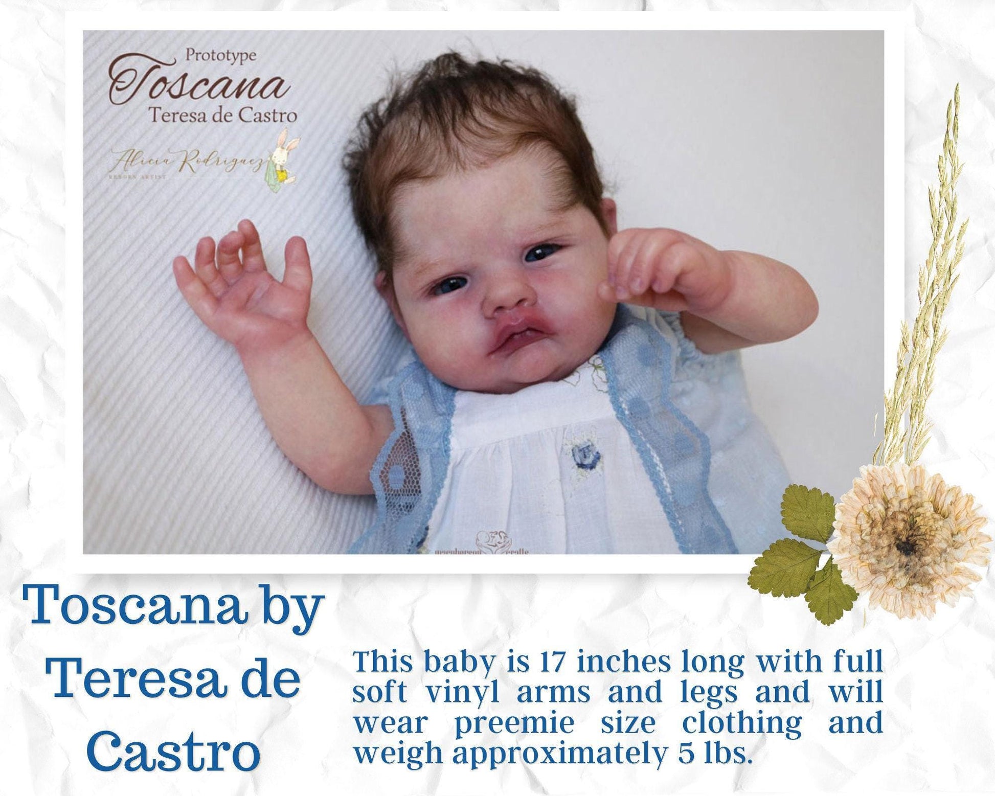 Tuscany by Teresa de Castro (17"+Full Limbs)