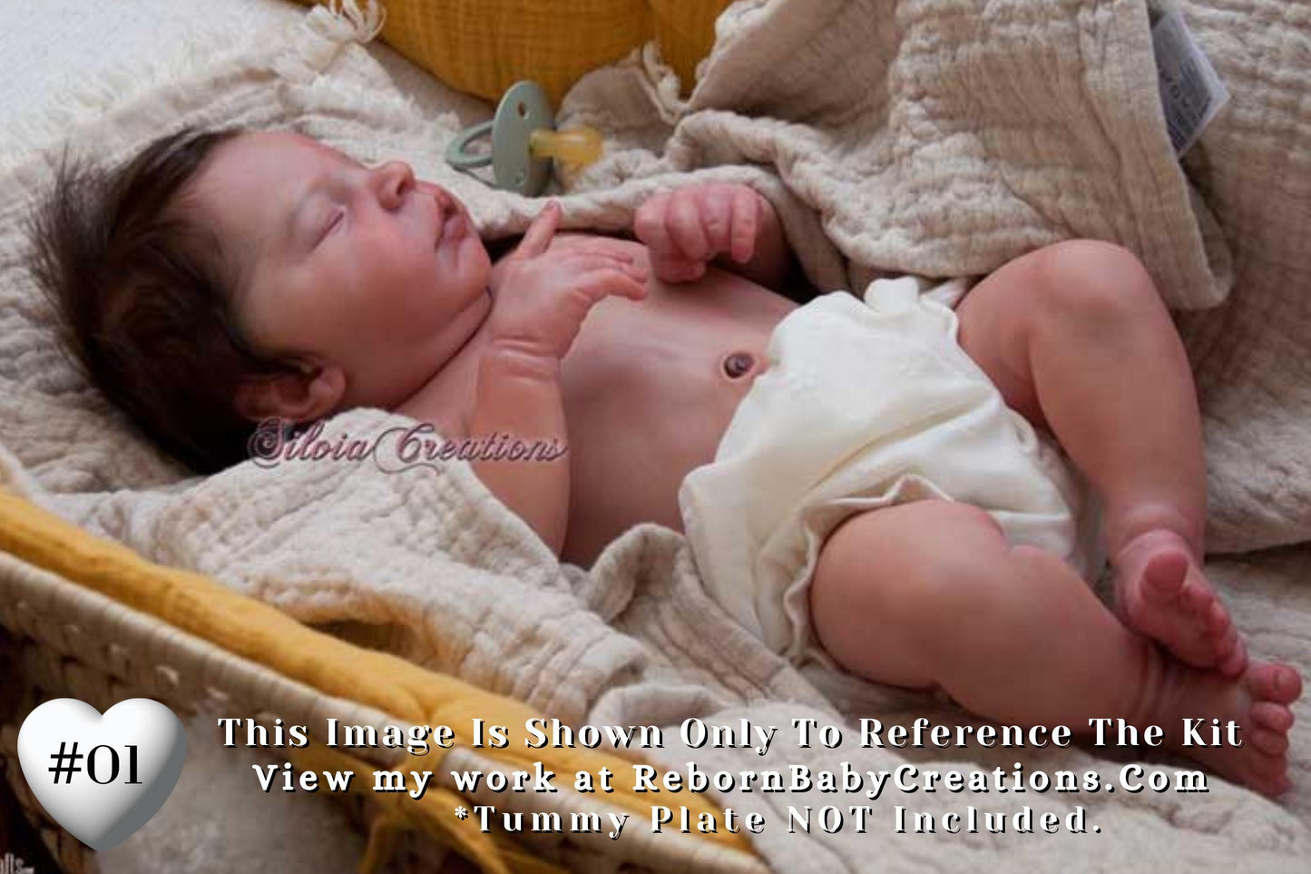 LE Elsie Anne by Doris Moyers Hornbogen~Pre-Order (19"+Full Limbs)