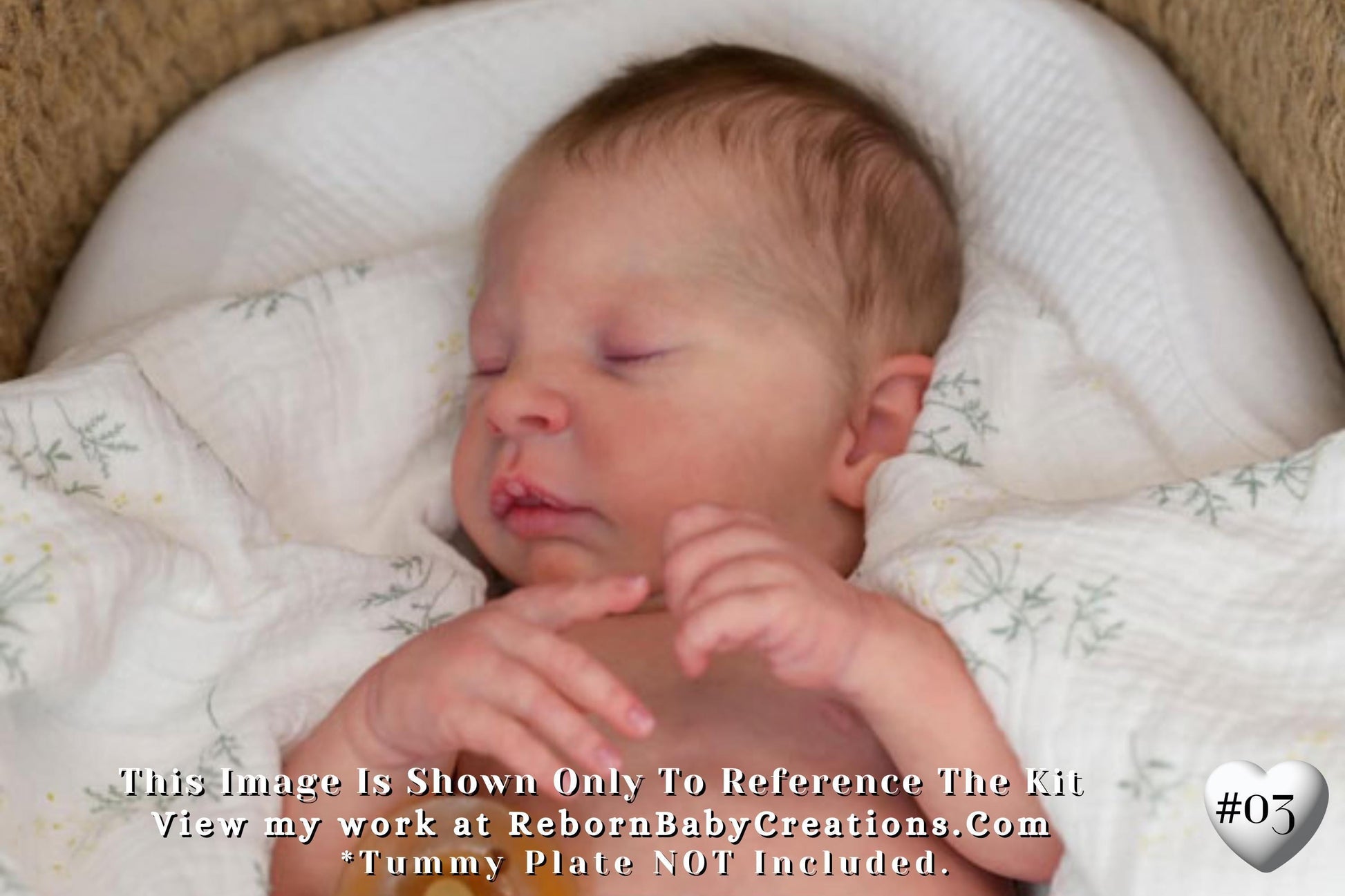 LE Elsie Anne by Doris Moyers Hornbogen~Pre-Order (19"+Full Limbs)