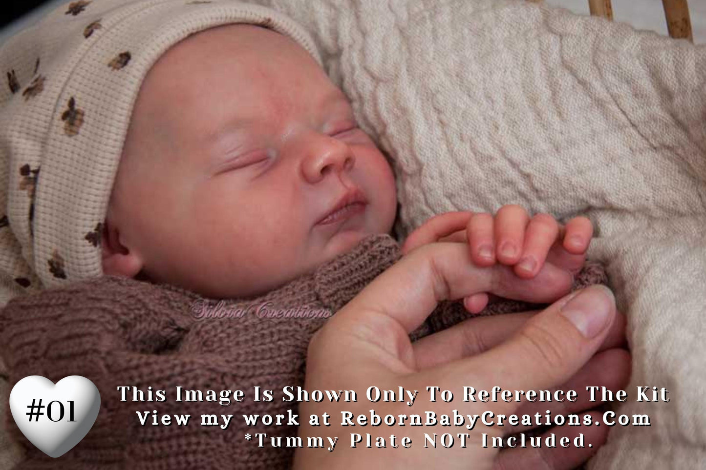 LE Elena by Alejandra De Zuniga~Pre-Order (20"+Full Limbs)