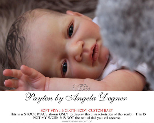 Payten by Angela Degner (20"+ Full Limbs)