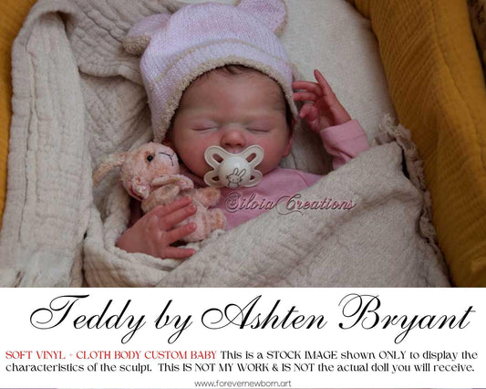 Teddy by Ashten Bryant (19"+Full Limbs)