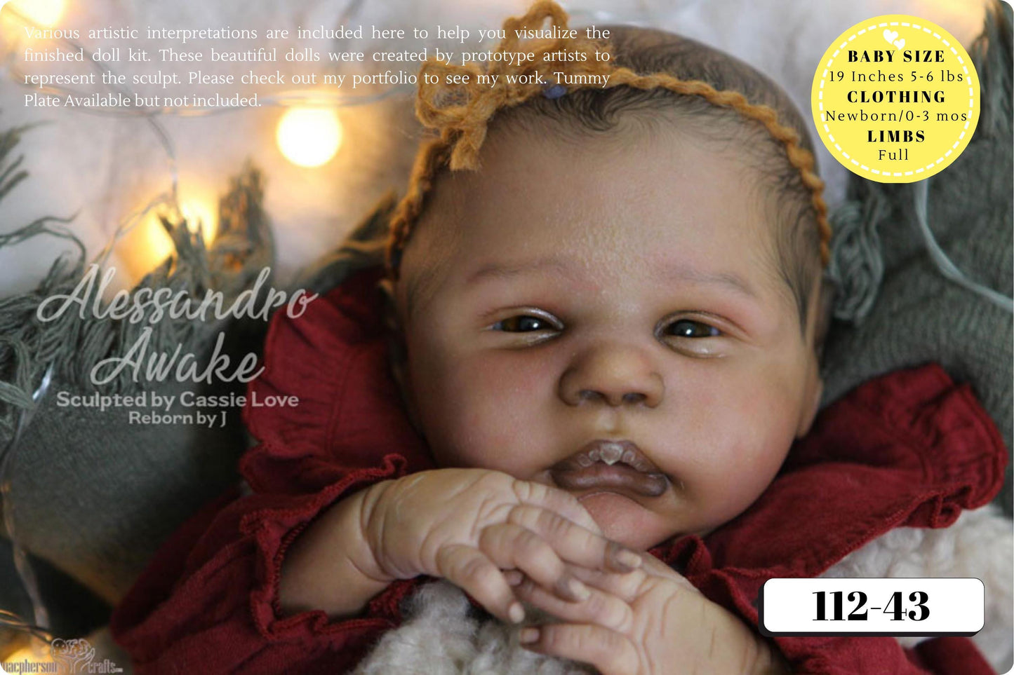 LE Alessandro Awake by Cassie Ann Love (19"+ Full Limbs)