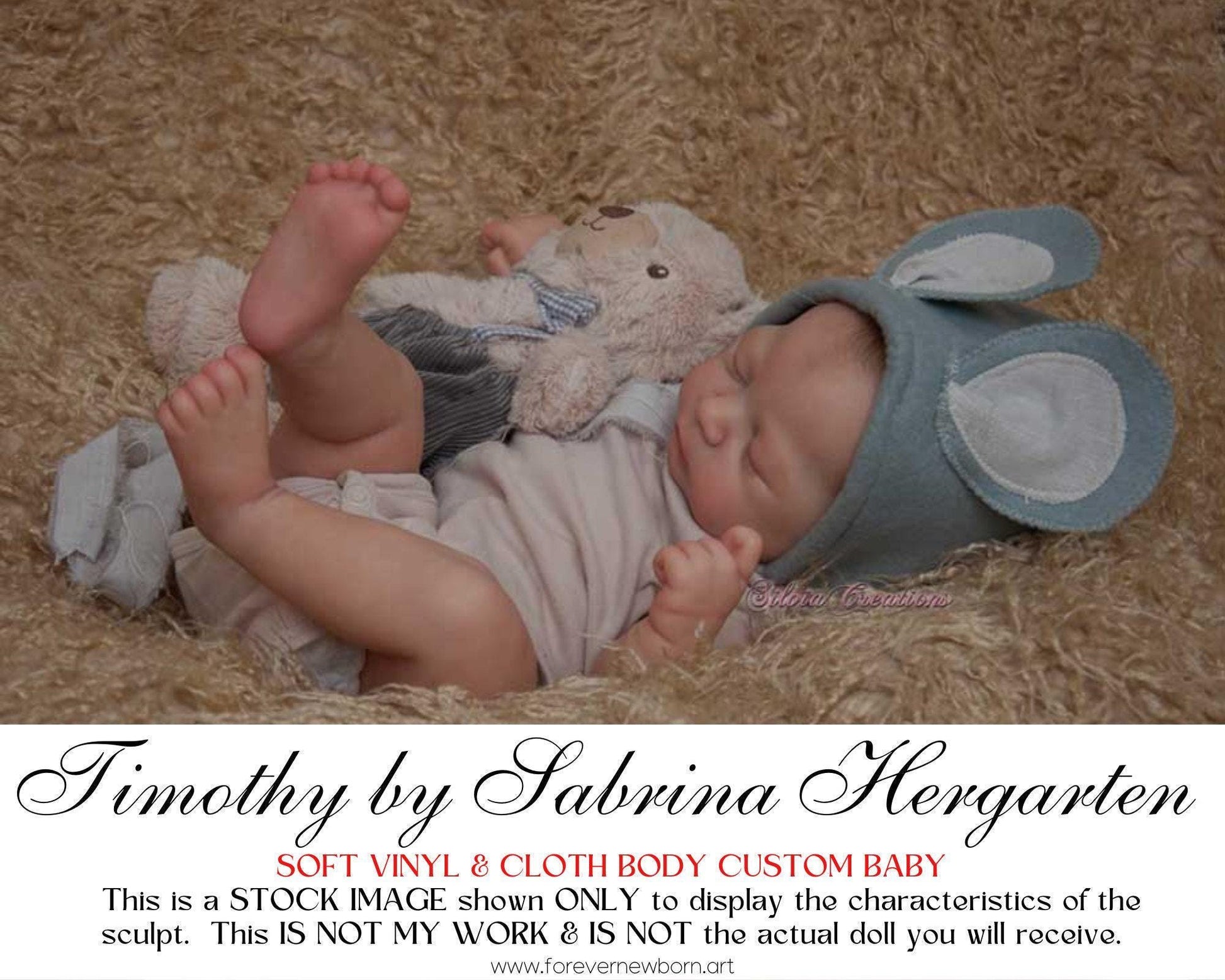 Timothy by Sabrina Hergarten (21" Full Limbs) LE999