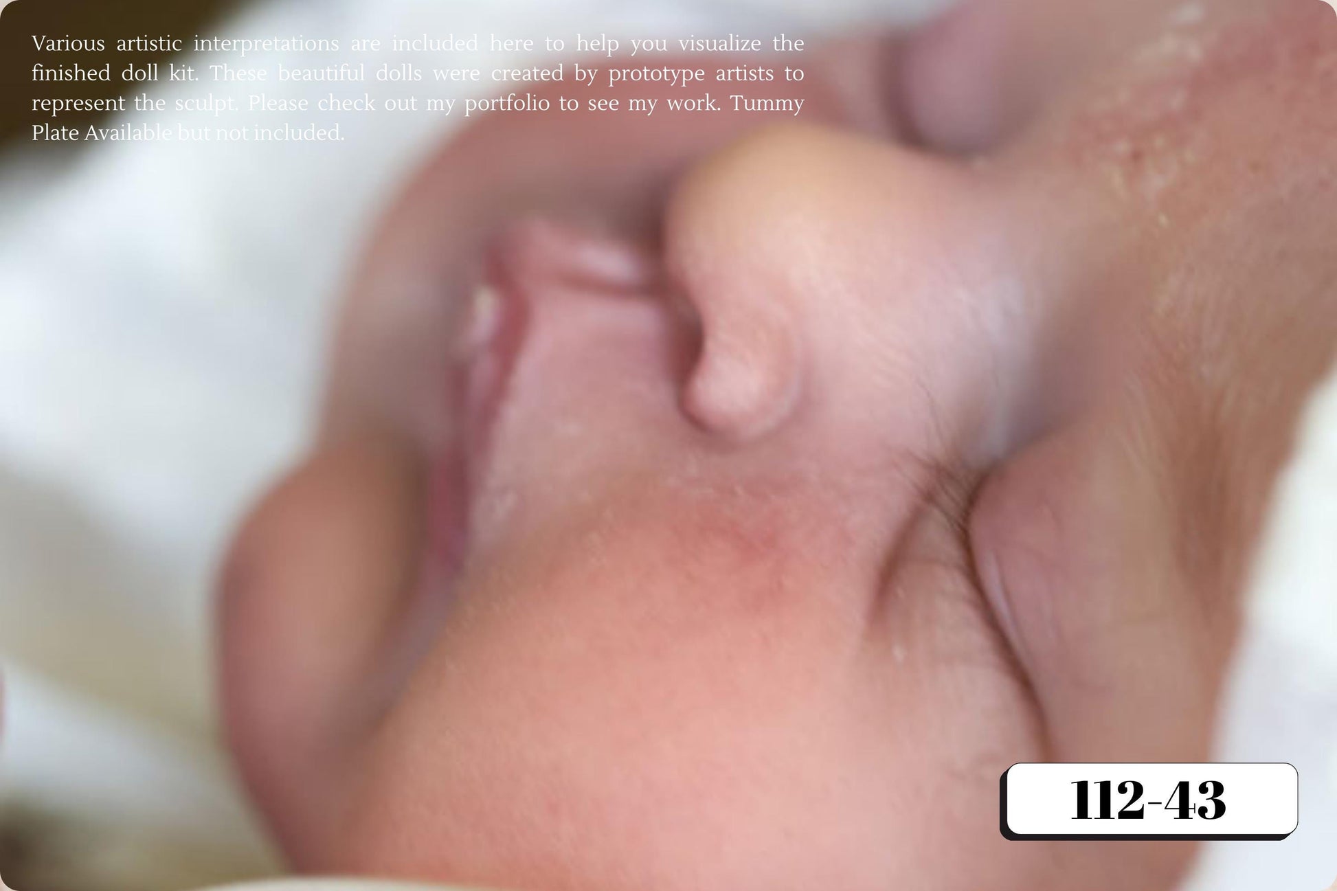 NEW!! LE Alice by Cassie Ann Love (19"+Full Limbs)