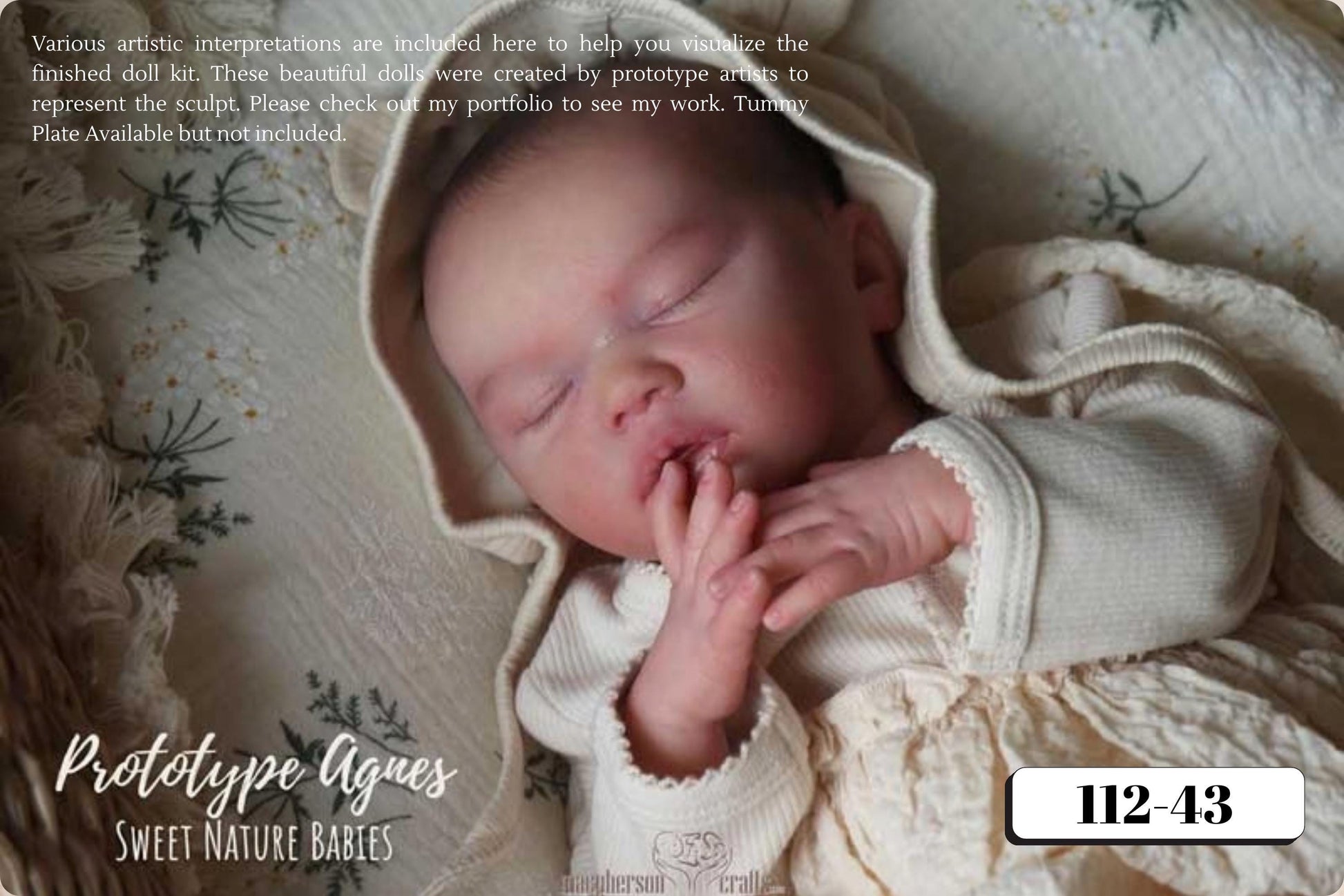 LE Agnes by Priscila Lopez~Pre-Order (17"+Full Limbs)