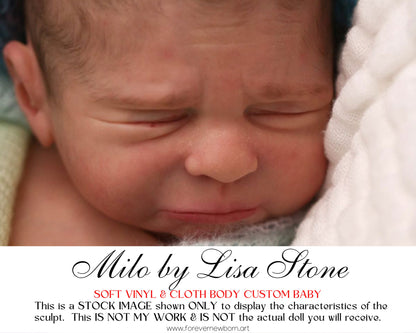 Ultra-Realistic ReBoRn BaBy ~ PREEMIE Milo by Lisa Stone **Examples Of My Work Included (16"+Full Limbs)