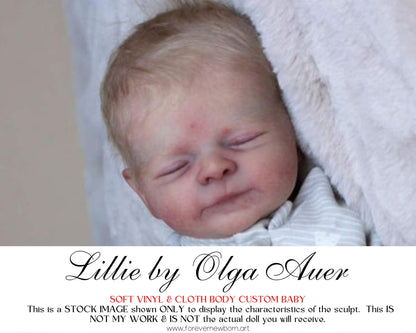 Ultra-Realistic ReBoRn BaBy ~ LE Reborn BaBy Lillie by Olga Auer **Examples Of My Work Included (19" + Full Limbs)