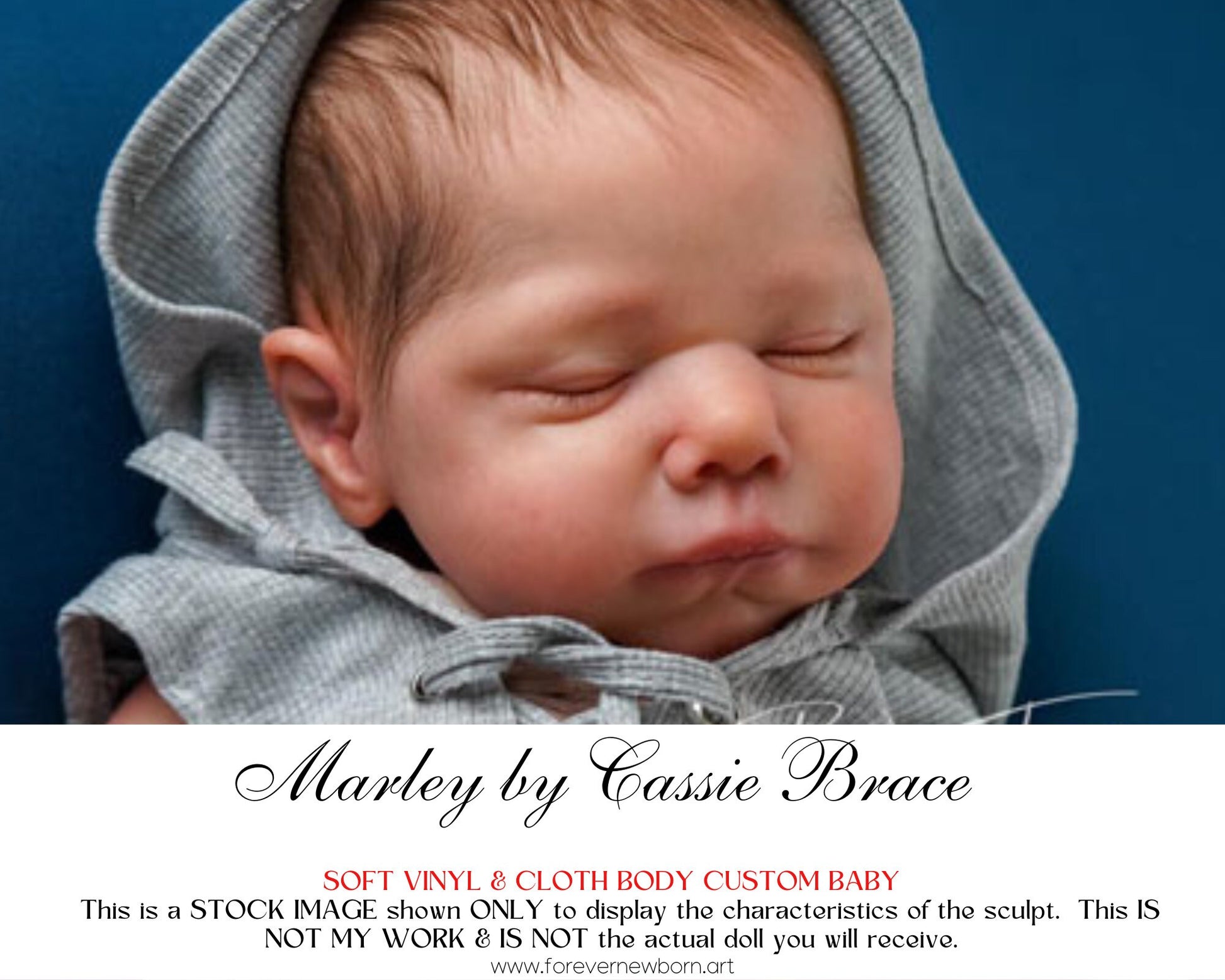 Ultra-Realistic ReBoRn BaBy ~ Marley by Cassie Brace **Examples Of My Work Included (20"+Full Limbs)