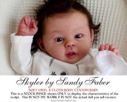 Ultra-Realistic ReBoRn BaBy ~ Skyler by Sandy Faber **Examples Of My Work Included (20"+Full Limbs)