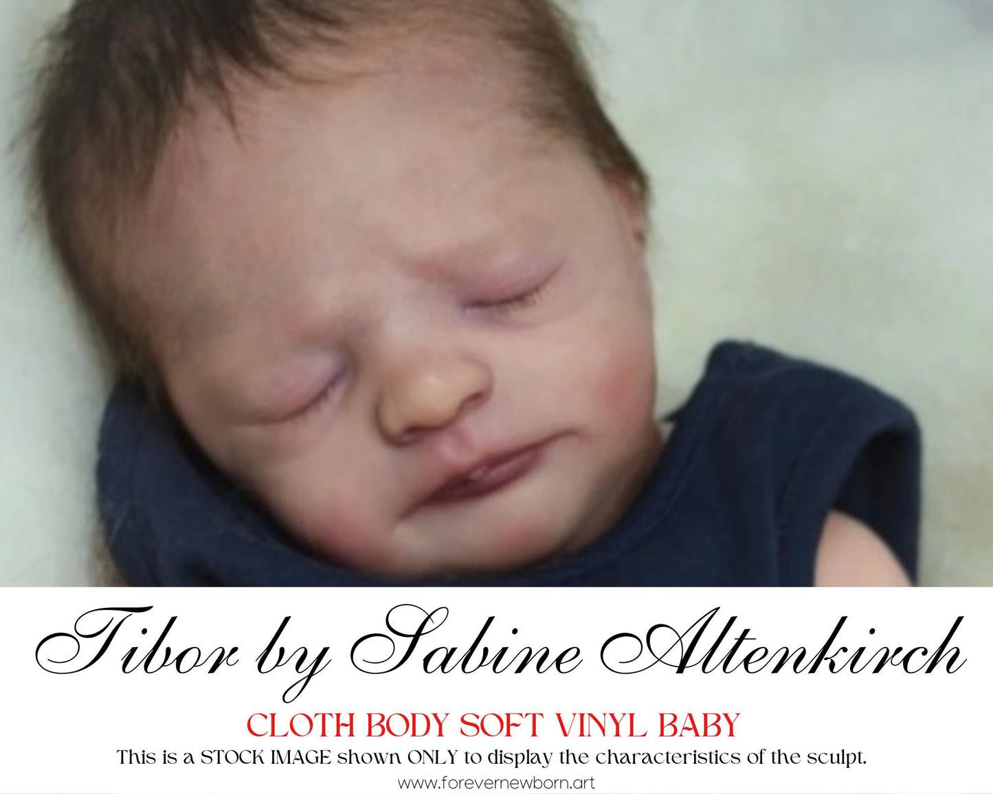 Reborn Baby ~ Ultra Realistic ~ Custom ~ Tibor by Sabine Altenkirch (19"+Full Limbs)