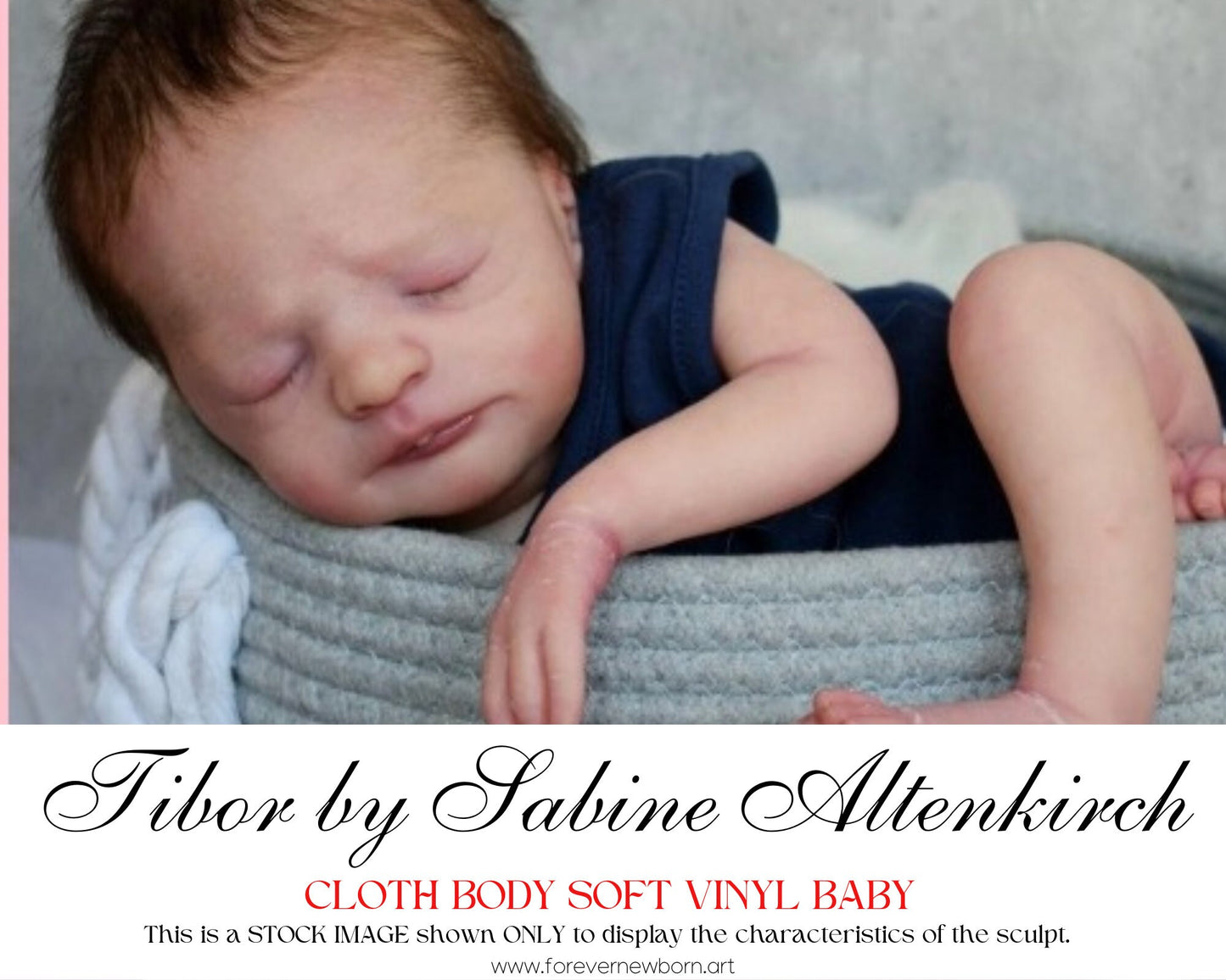 Ultra-Realistic ReBoRn BaBy ~ Tibor by Sabine Altenkirch **Examples Of My Work Included (19"+Full Limbs)
